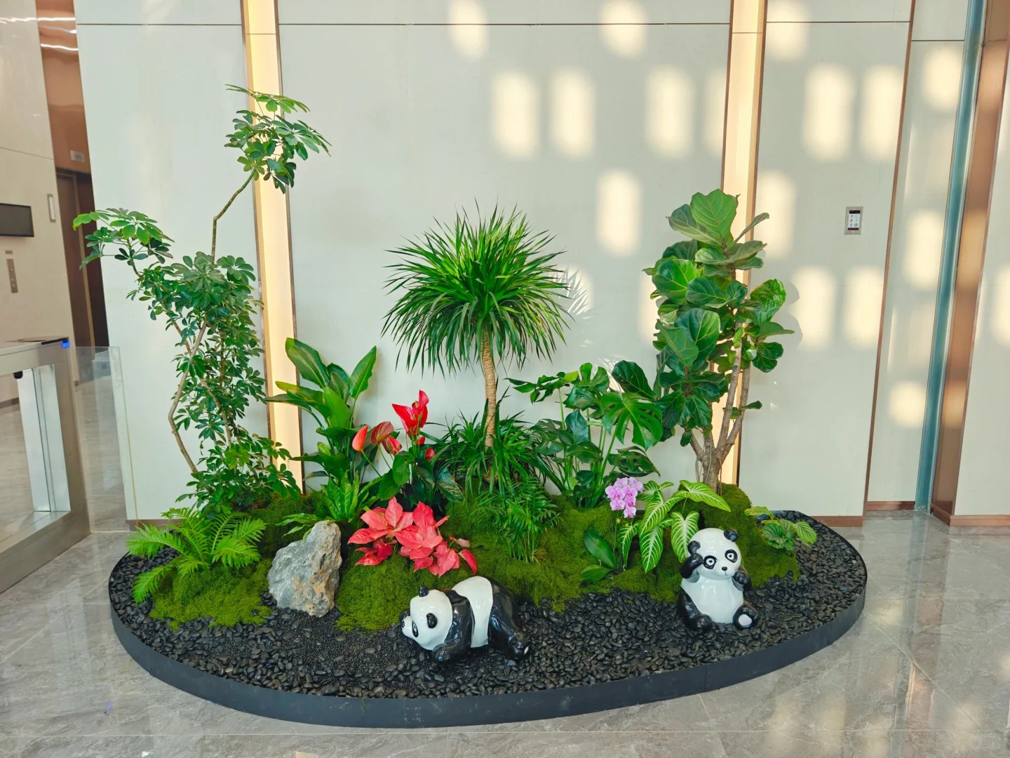 专业绿植出租，宁波奉化的清新之选，超赞！